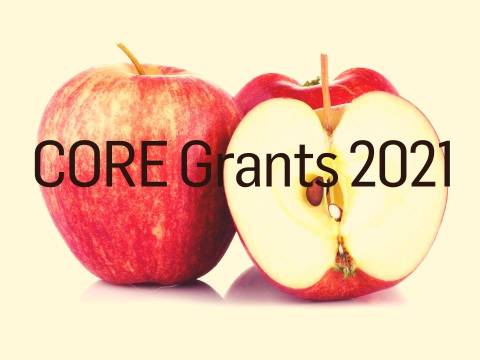 CORE Grants 2021