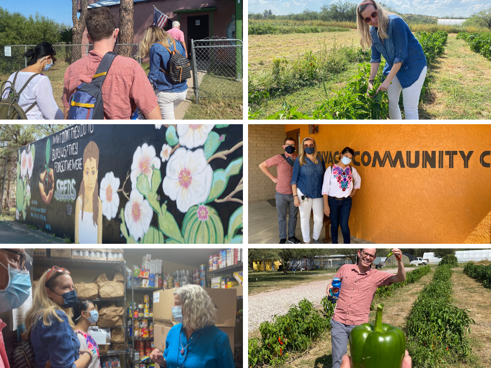 Collage of CFSA staff picking vegetables, visiting local nonprofits.