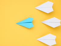 Ask An Expert: Different Financial Leadership Roles in a Nonprofit Organization