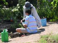 Tenant Spotlight: Community Gardens of Tucson