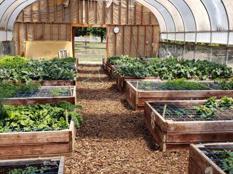 Tenant Spotlight: Echoing Hope Ranch