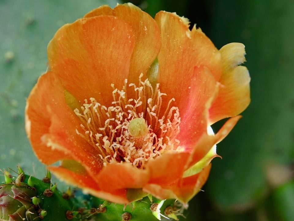 Tenant Spotlight: MicroCare Community Development Solutions