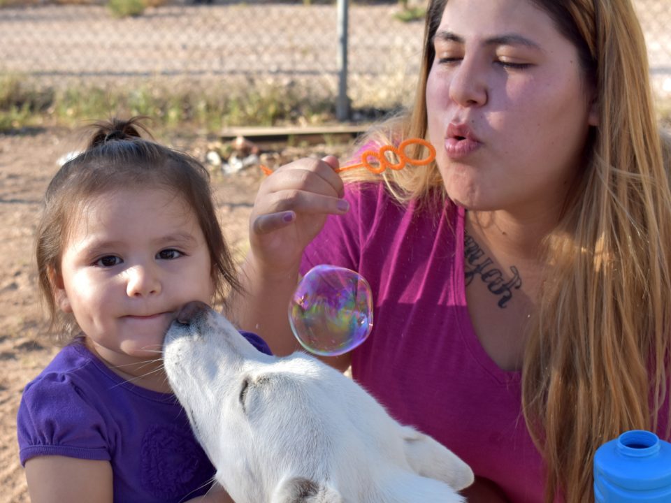 Tenant Spotlight: Our Family Services