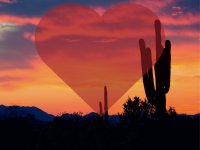 A Love Letter to Southern Arizona