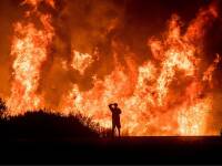 How to Support Wildfire Recovery Efforts in California