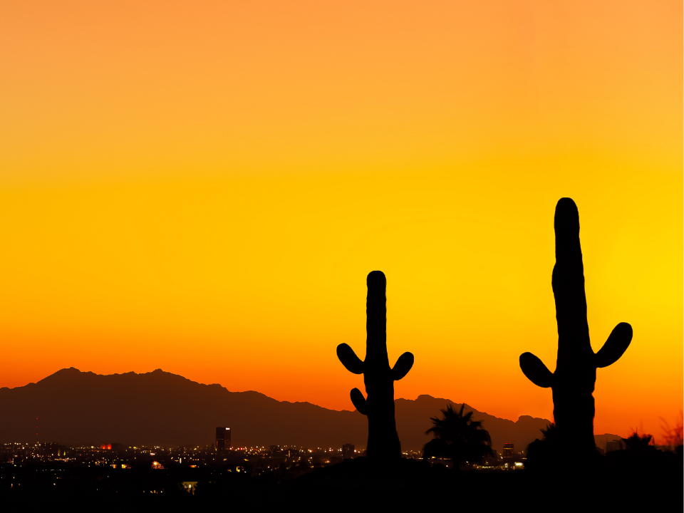 Desert sunset scene with saguaro cactus in foreground