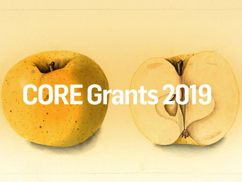 CORE Grants 2019