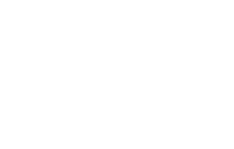 African American Legacy Fund